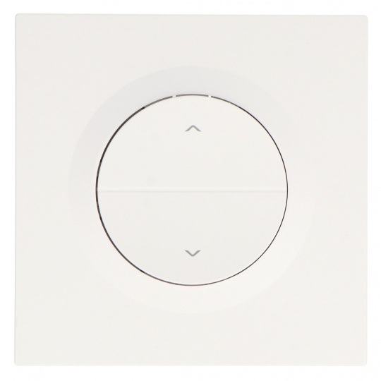 Sonoff MINI-RBS-E Orb-RBS - інтелектуальний настінний вимикач для ролет WiFi/Matter - білий