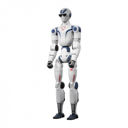 Robot humanoidalny -...