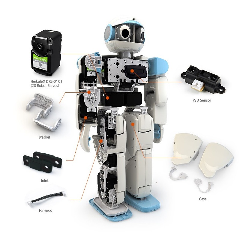 Hovis Eco Plus - robot humanoidalny 20 DoF