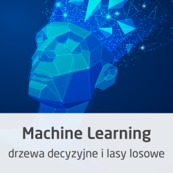 Kurs Machine Learning -...